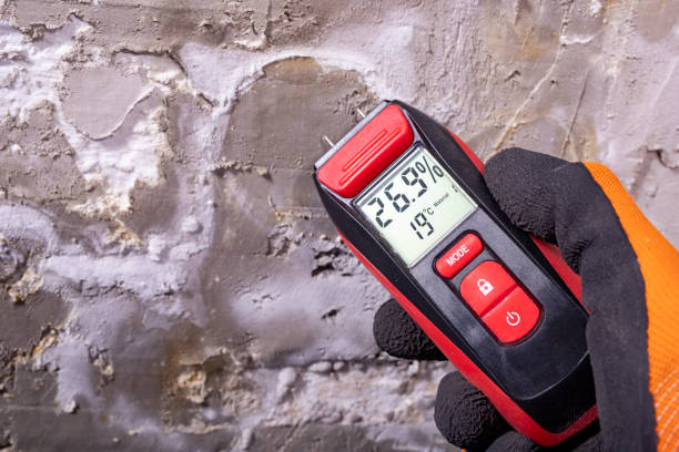 Best Best Mold Removal Companies  in Marionville, MO