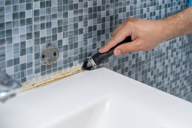 Best Mold Removal Near Me  in Marionville, MO