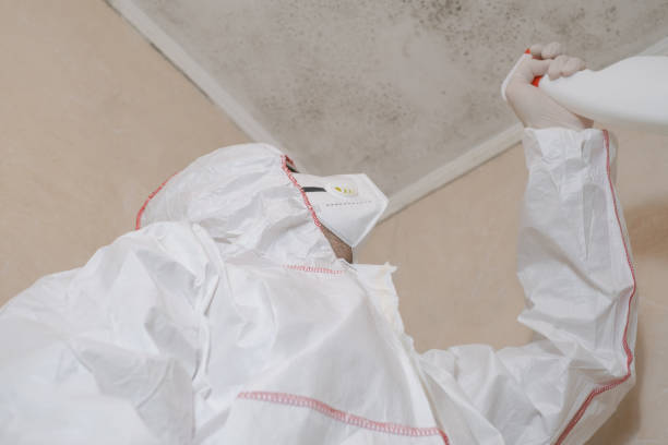Best Commercial Mold Removal  in Marionville, MO